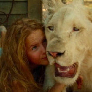 Девочка Миа и белый лев