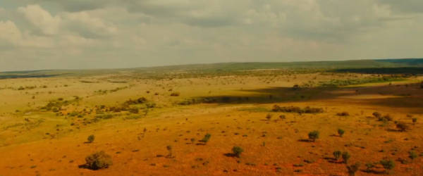 Африка кадры из фильма Миа и белый лев